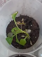 1723056506009.webp 1723056506009.webp