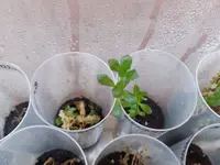 1723057103844.webp 1723057103844.webp