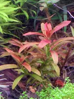 IMG_6724.webp IMG_6724.webp