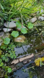 20240810_193539.jpg 20240810_193539.jpg