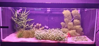 20240915_183731.jpg