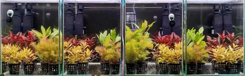 1737295942111.png 1737295942111.png