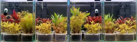 1737295980992.png 1737295980992.png