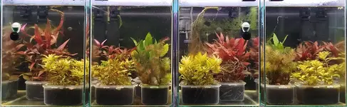 1737296110533.png 1737296110533.png