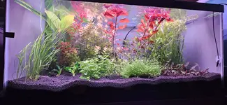 FarmTank1.webp