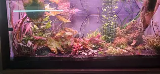 FarmTank2.webp
