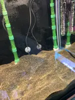 IMG_3288.webp IMG_3288.webp