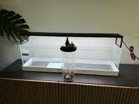 1743539688479.png 1743539688479.png