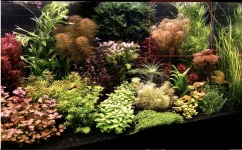 Screenshot 2025-04-20 at 9.15.43 AM.webp