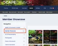 Screenshot 2025-05-16 at 1.13.17 PM.webp