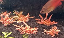 IMG_6318.webp IMG_6318.webp