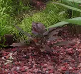 IMG_7377.webp IMG_7377.webp