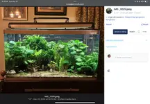 IMG_0410.webp IMG_0410.webp