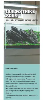 Screenshot_20250525_104120_Yahoo Mail.webp