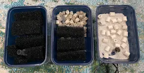 IMG_7666.webp IMG_7666.webp