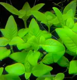 20180813_172448 (2).webp