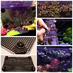 Collage Maker-21-Jun-2023-07-53-PM-5206.webp