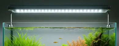 planted aquarium lighting.webp