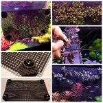 Collage Maker-21-Jun-2023-07-53-PM-5206.webp