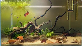 IMG_7869.webp IMG_7869.webp