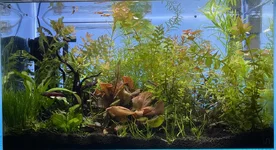 IMG_7872.webp IMG_7872.webp