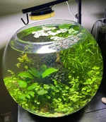 IMG_7952.webp IMG_7952.webp