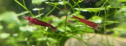 IMG_7957.webp IMG_7957.webp