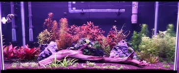 40 Farm Tank.webp