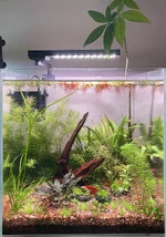 IMG_8207.webp IMG_8207.webp