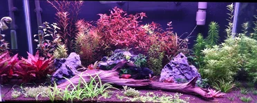 Farm Tank 8_25_25.webp