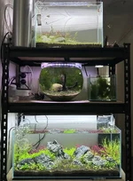 IMG_1093.webp IMG_1093.webp