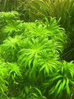 IMG_4185.webp IMG_4185.webp