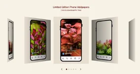 Screenshot 2025-09-20 at 7.04.51 AM.webp