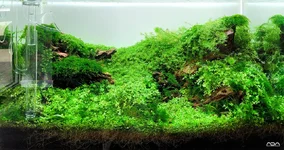 2hrAquarist20250918_122902E1 (2).webp