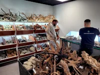 2hrAquarist20250918_122930E (2).webp