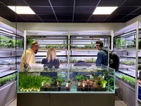 2hrAquarist20250918_122941 (2).webp