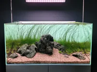 2hrAquarist20250918_123618 (2).webp