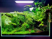 2hrAquarist20250918_125330E1 (2).webp