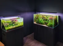 2hrAquaristCorner tanks E (2).webp