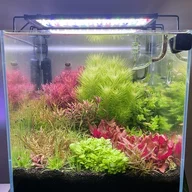 Scaper26