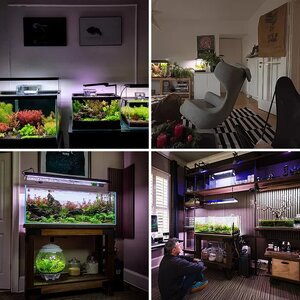 Media of the Month Contest - December 2025 - Grand Championship