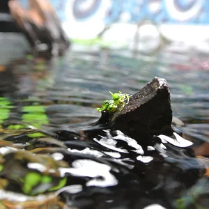 Hitchhiker HC Landing Spot.webp