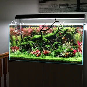 WB 3620 Full Shot.webp