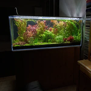 2025 December 13 Tank 2 final.webp