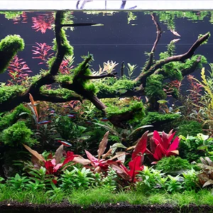 WB 3620 12_14_25.webp