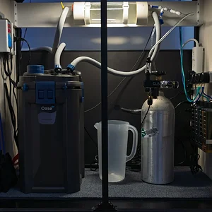 WB 3620 Equipment Reset Small.webp