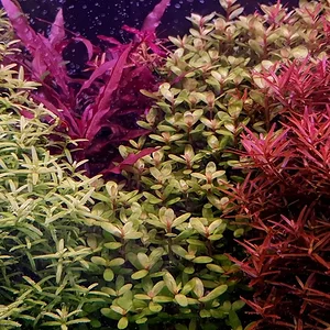 2023-10-06 13-23-45.webp