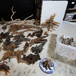 Driftwood Stash.webp