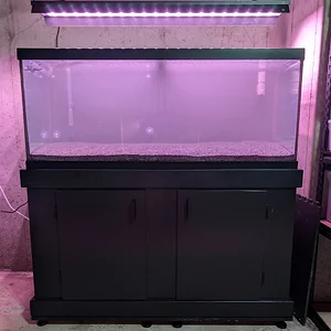 Garden Tank Cycle Start 7_12_26.webp