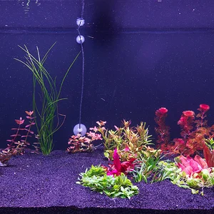 Garden Tank Planting Day.webp